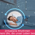 Zirkadiane Rhythmen: Die innere Uhr, die unser Leben bestimmt